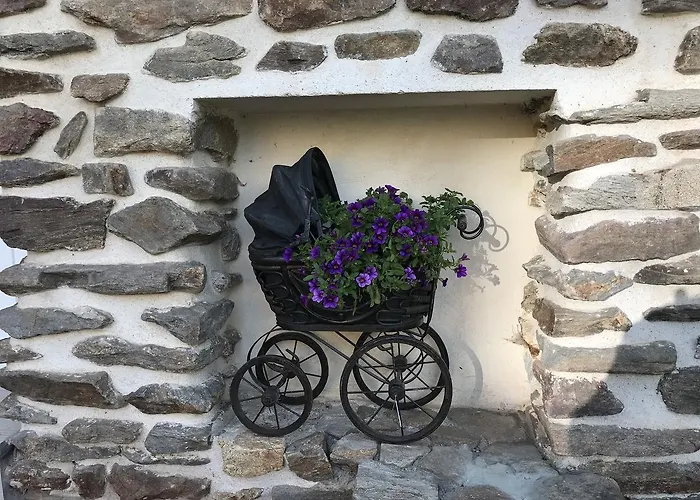Plus Vacov